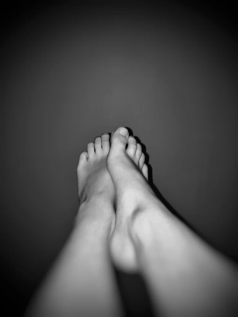Sachafeet 🦝