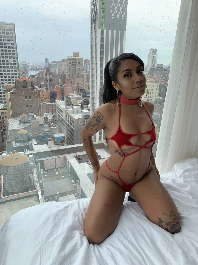 SPICE's avatar