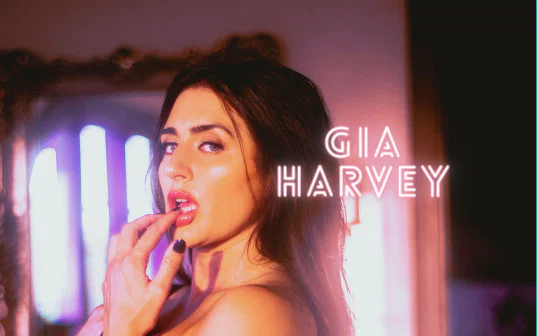 Gia Harvey profile banner