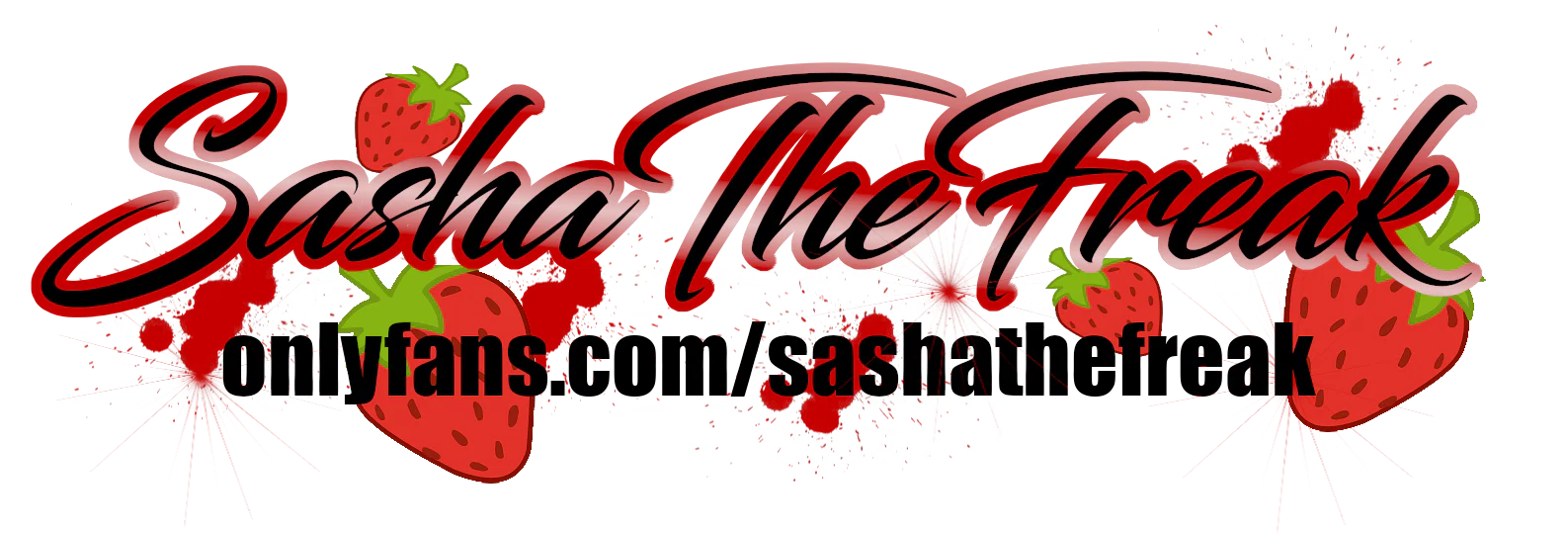 Sasha Michelle profile banner
