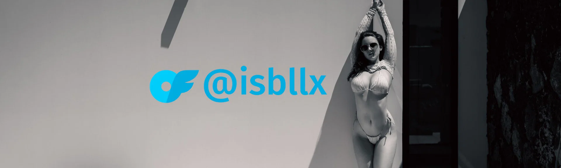 isbll profile banner