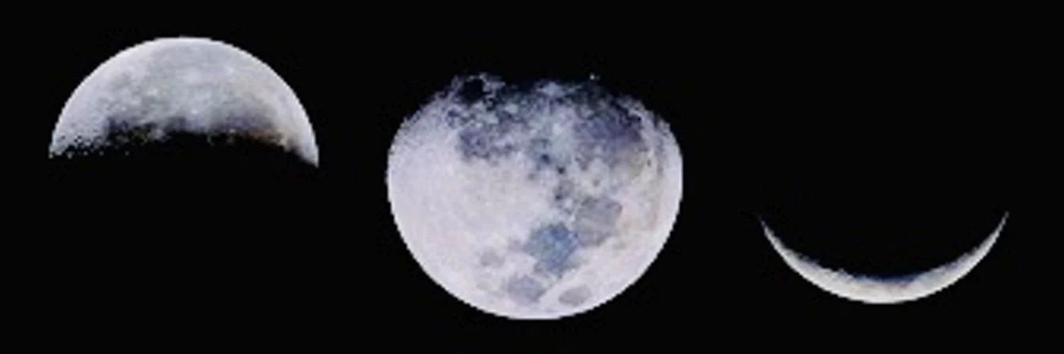 Luna Rubsgood profile banner