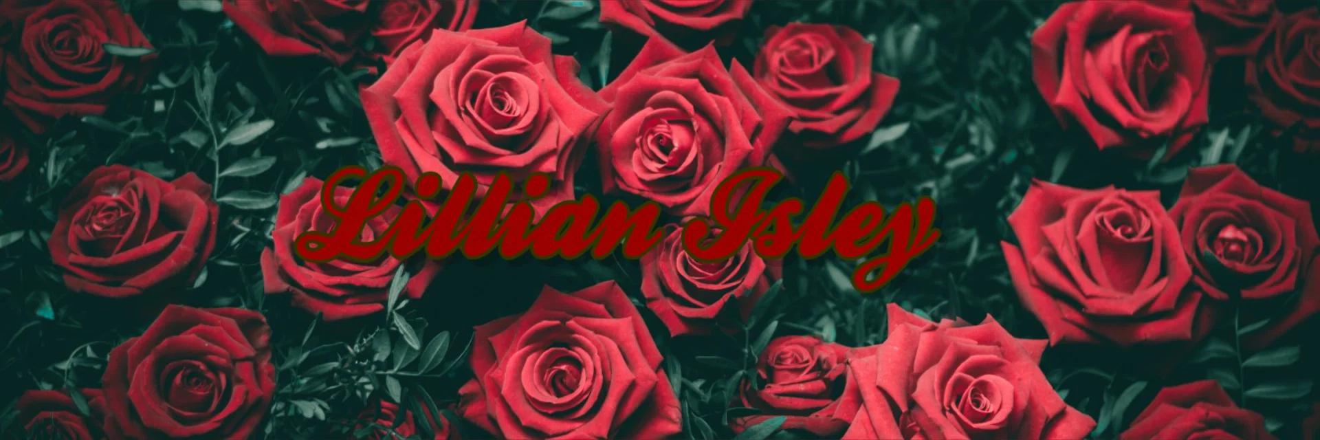 🥀Lily🥀 profile banner