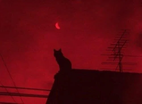 ❌❌❌❌ profile banner