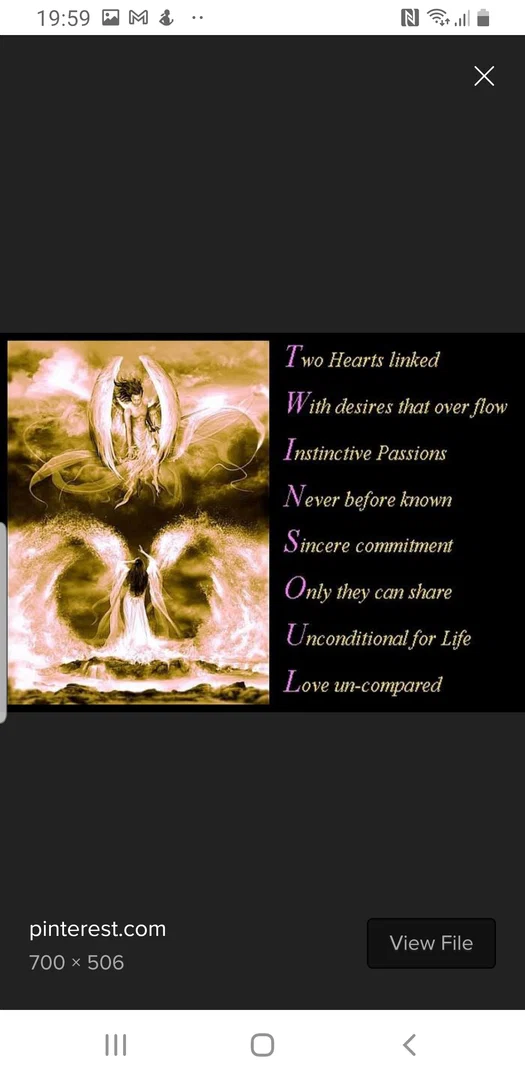 TWINFLAMES2021 profile banner