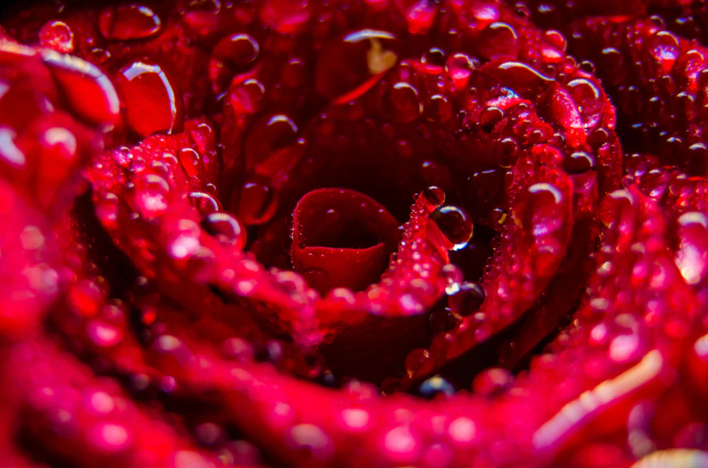Love.Natalia's avatar