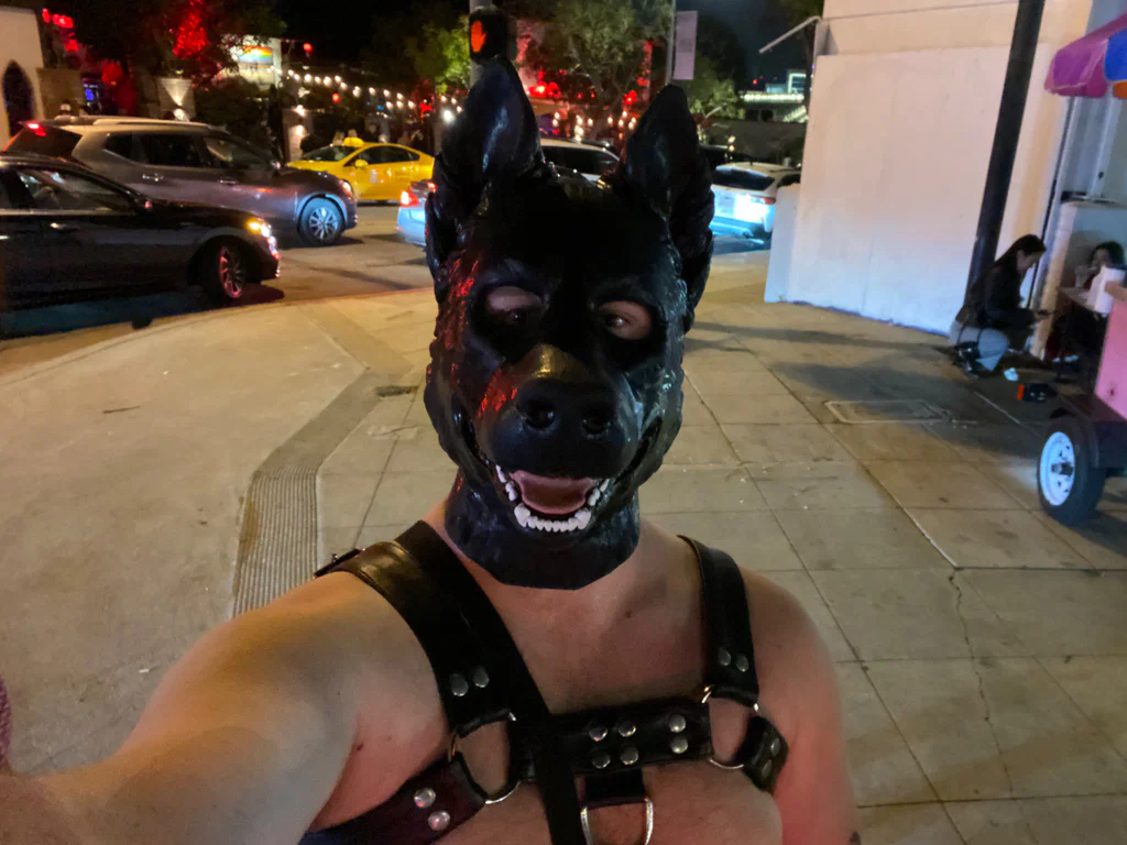 Pup Shadow's avatar