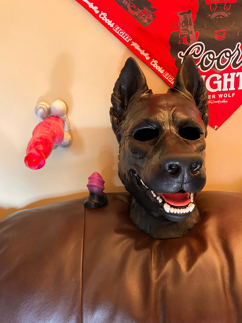 Pup Shadow profile banner
