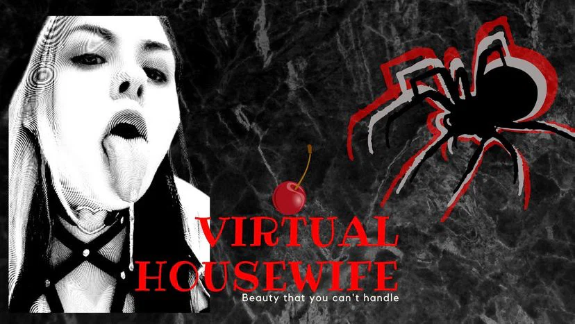 Virtual Housewife profile banner