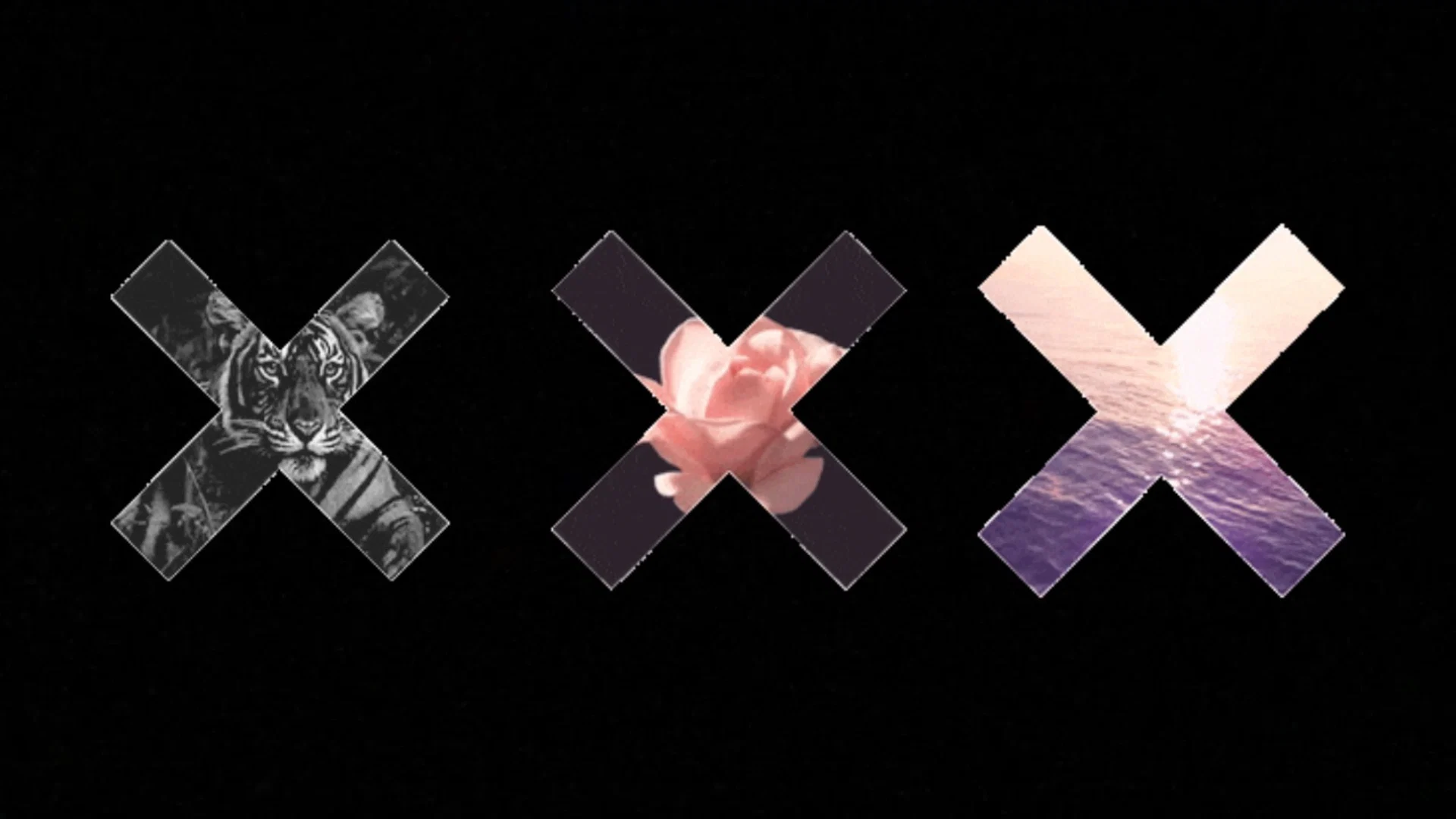 Your Daddy Doc profile banner