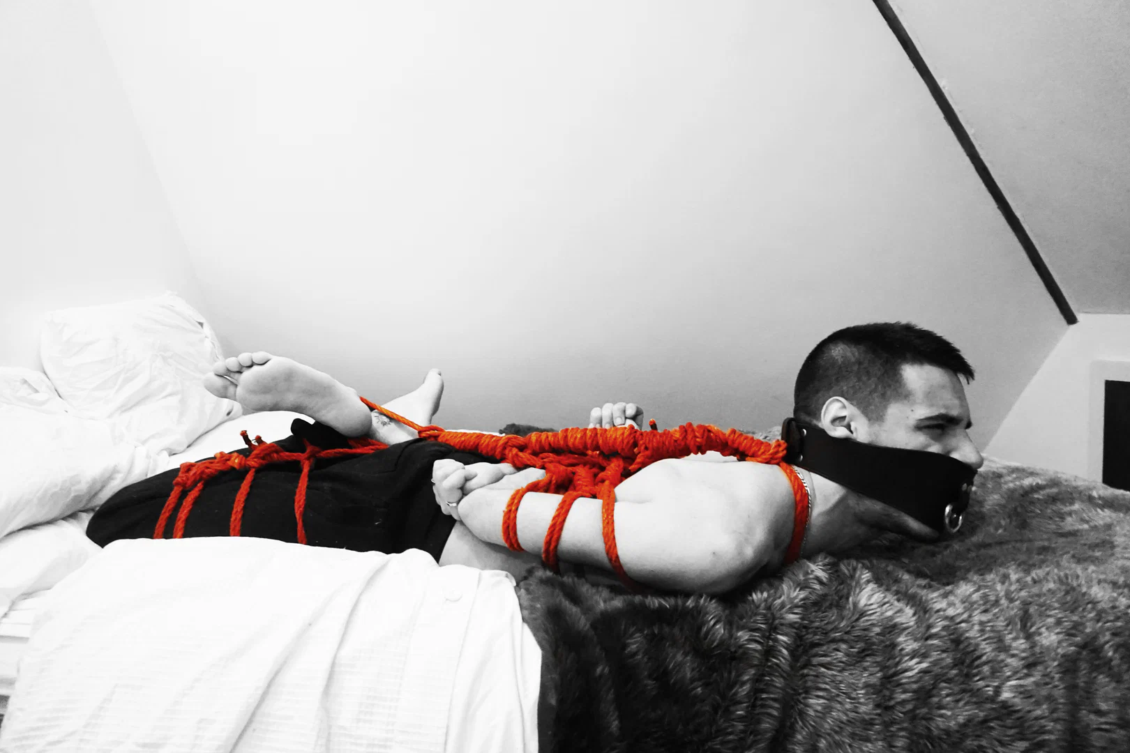 Safe and Bound profile banner