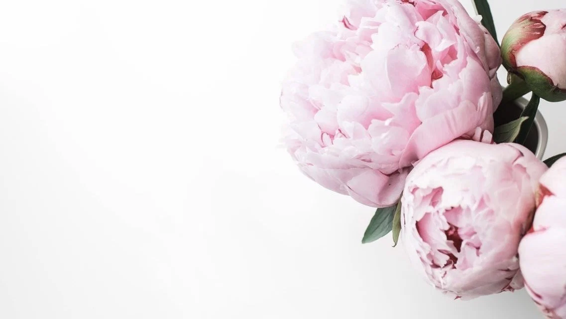Sharon Princess profile banner