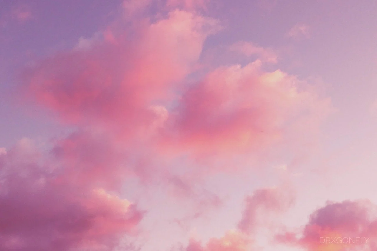 LadyDelta profile banner