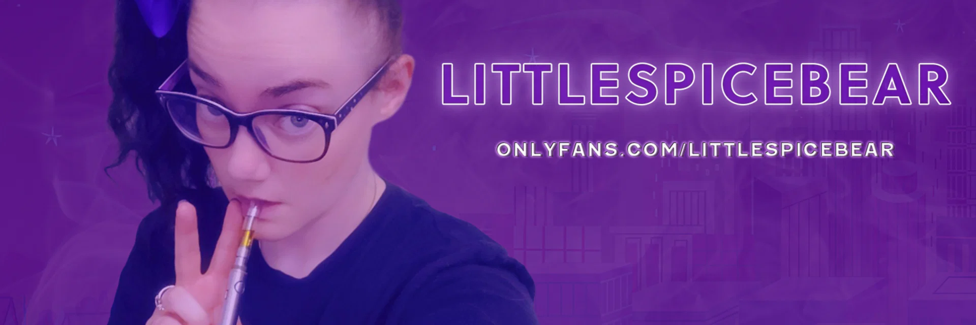 LittleSpiceBear profile banner