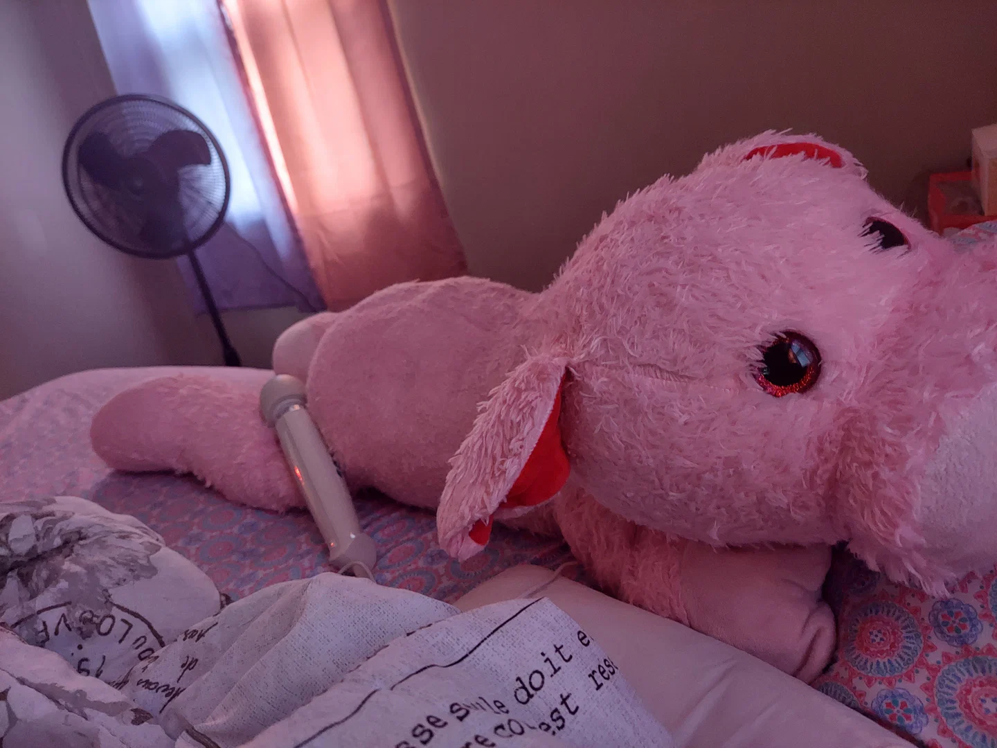 Pretty piggy profile banner