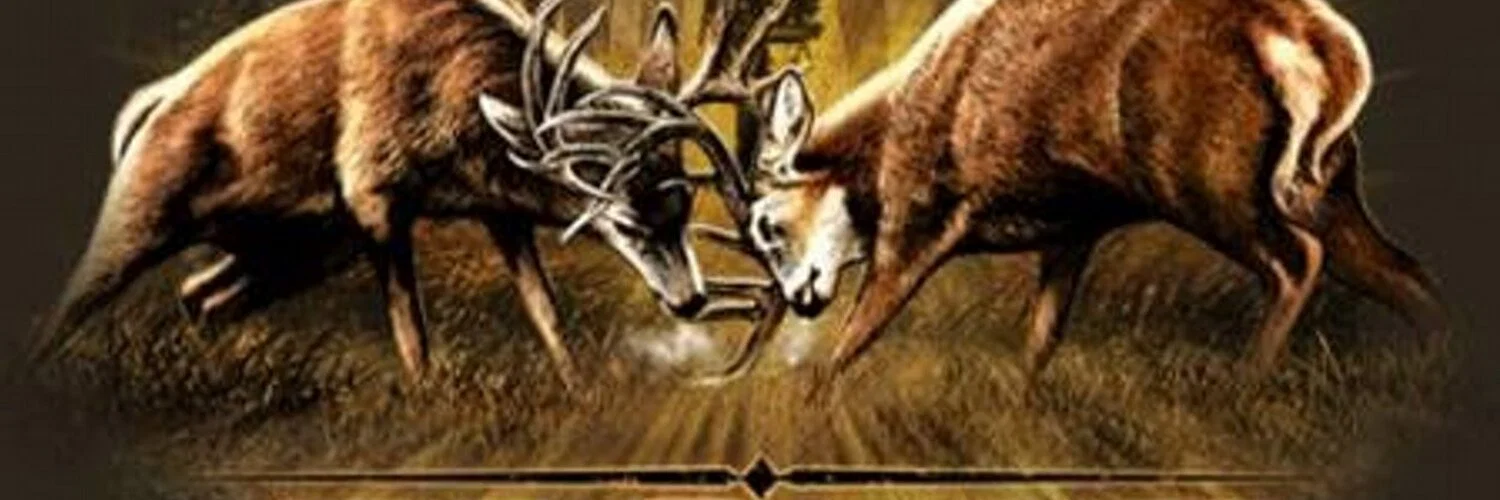 MickieDenmon profile banner