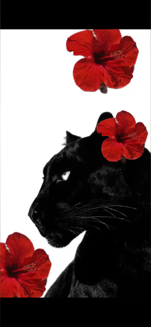 realassgoddess profile banner