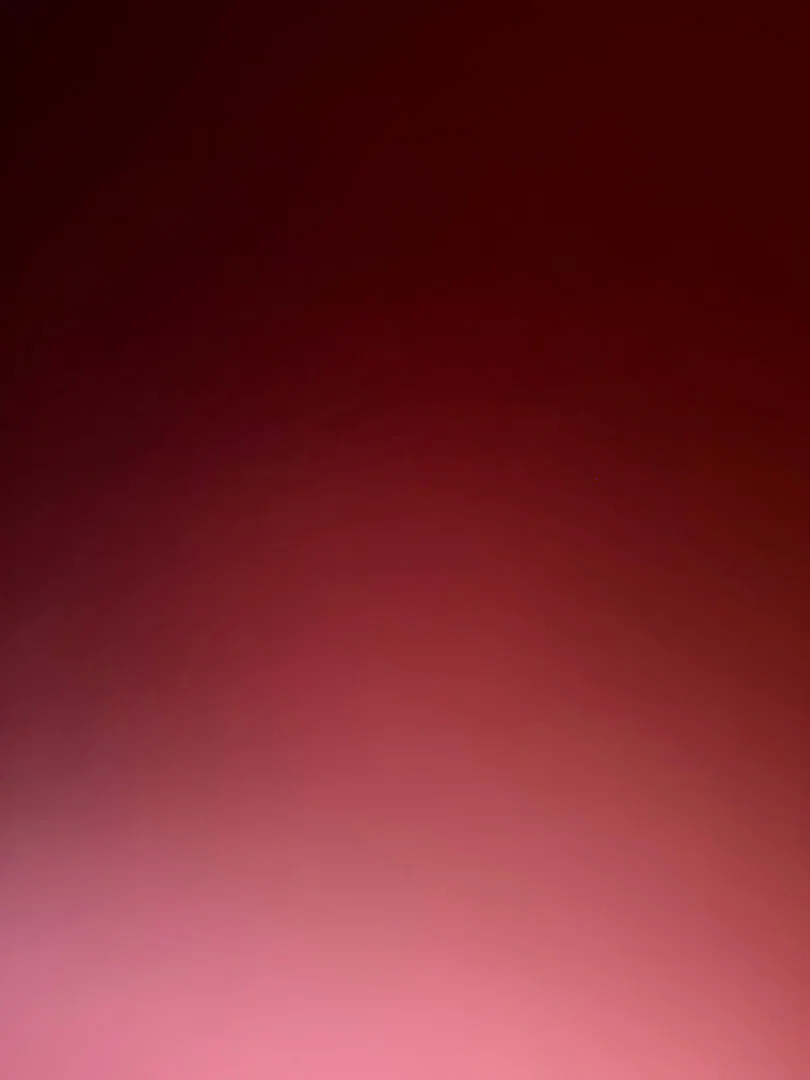 honey.buns profile banner