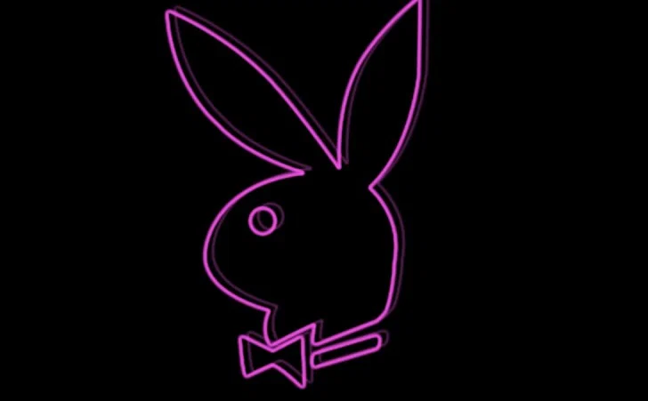 Lady bunny profile banner