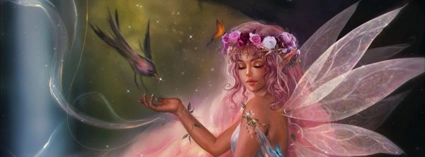 Barefoot Nemesis profile banner