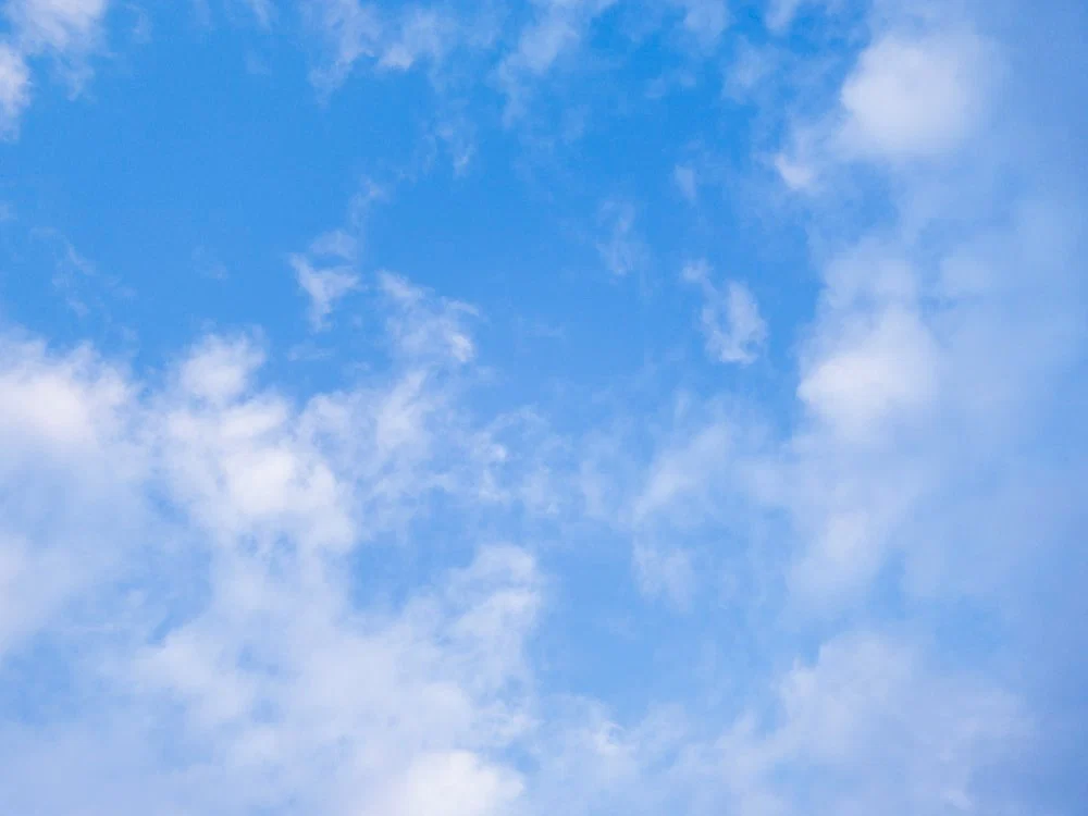 Leila profile banner