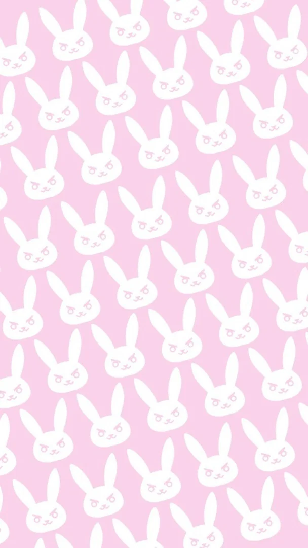 Bunny π profile banner