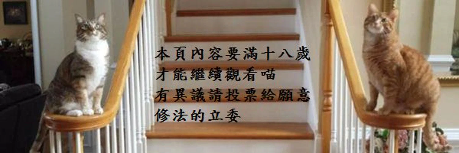 海軍貓貓 profile banner