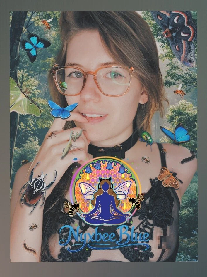 ꧁ 𝓝𝔂𝔁𝓫𝓮𝓮 𝓑𝓵𝓾𝓮 ꧂