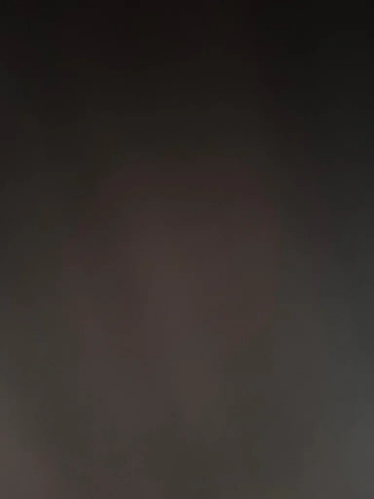 u12390505