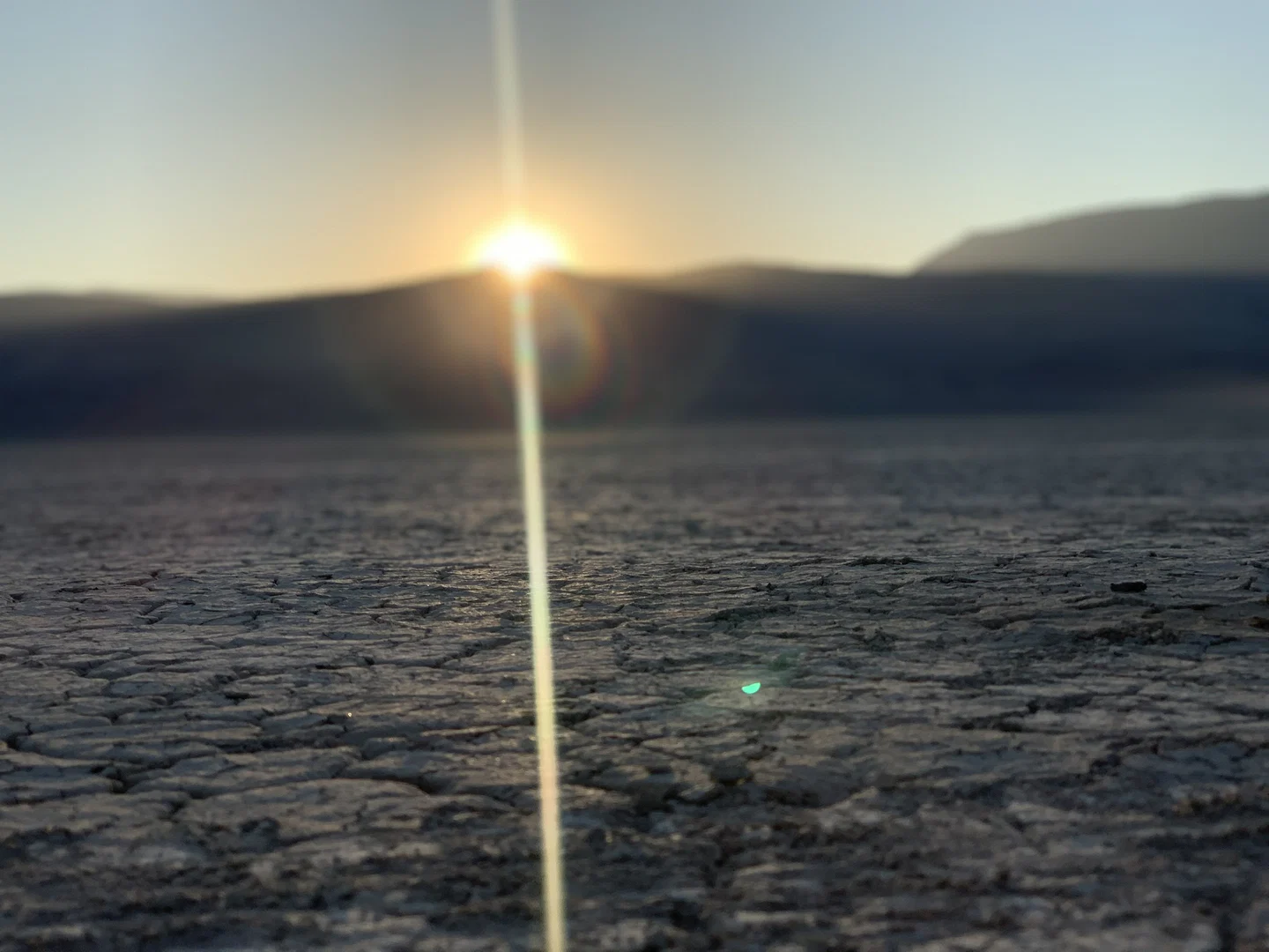 Desert Man profile banner