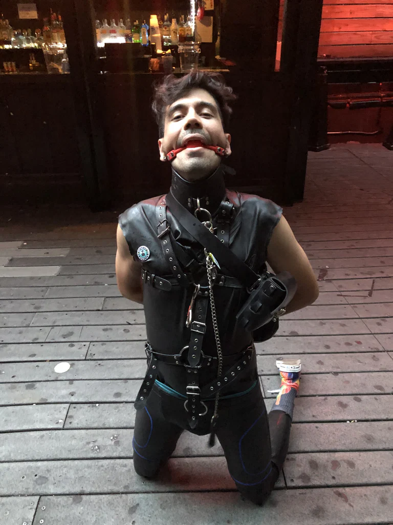 PupTrebleNYC's avatar