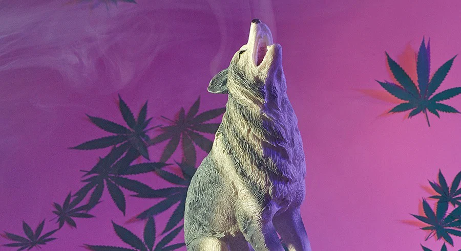 Stonerwolf profile banner