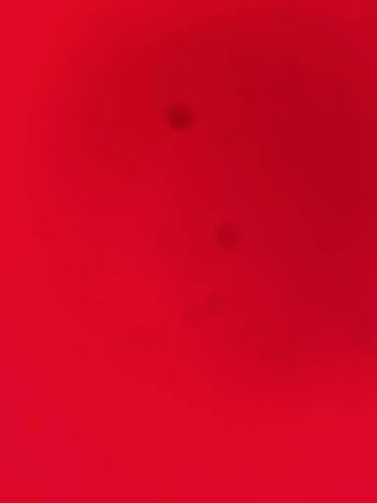 BigDicksg