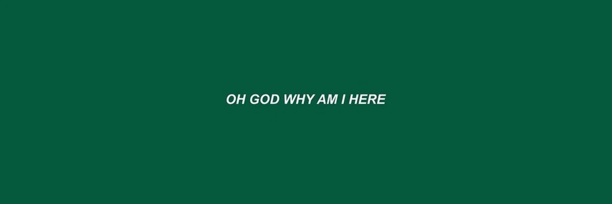 no0d1e he4d profile banner