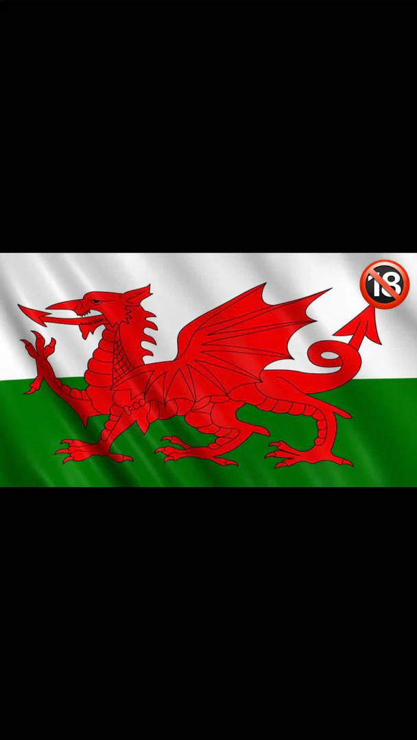 Welsh Tease profile banner