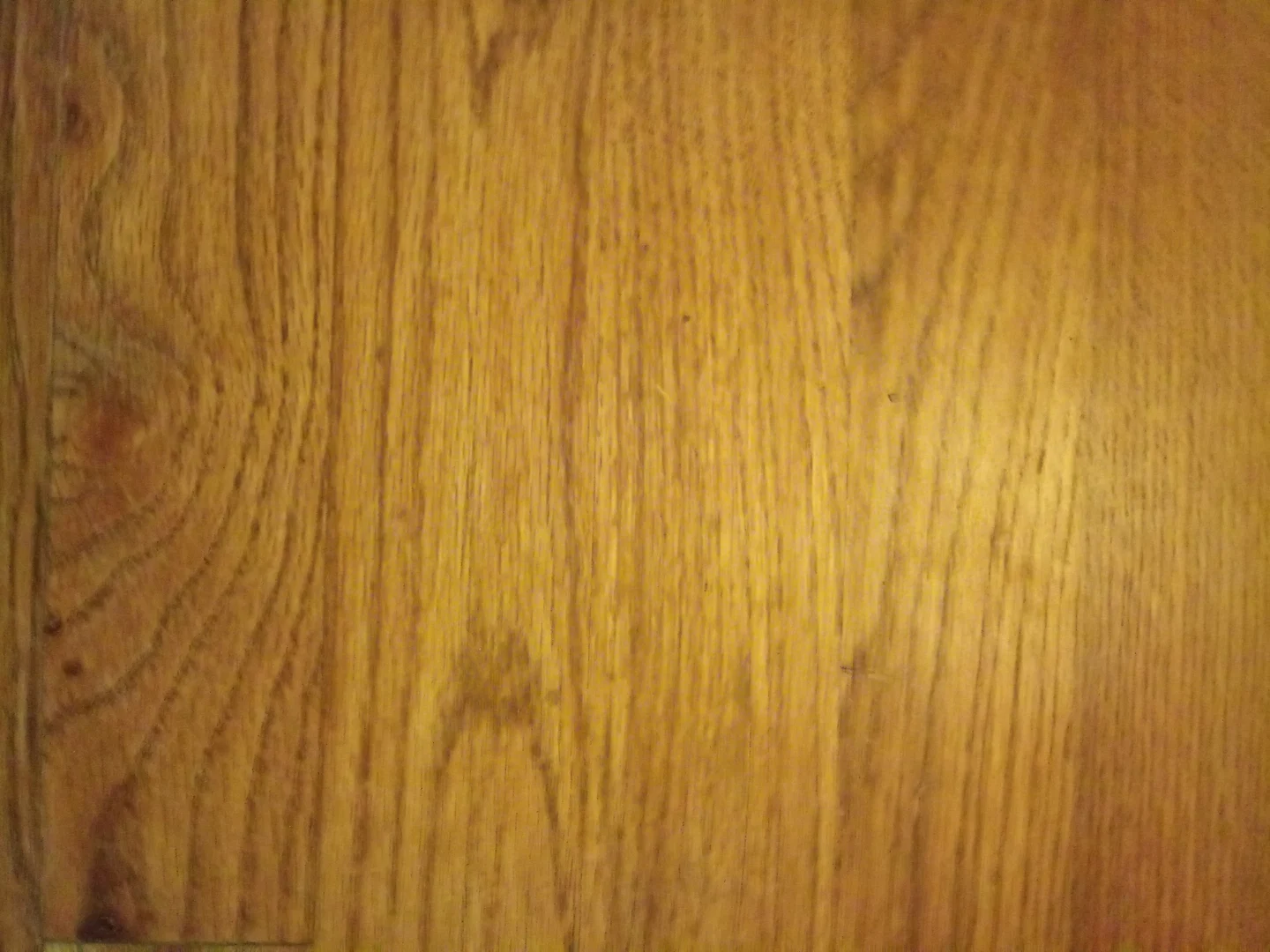Dirty Dann profile banner