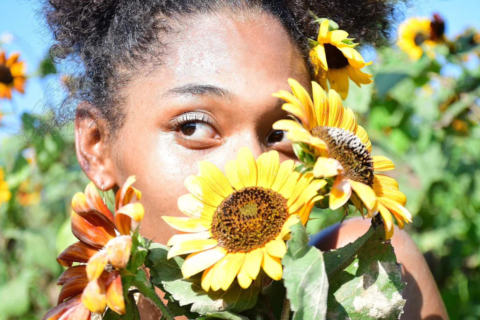 Dri Dri profile banner