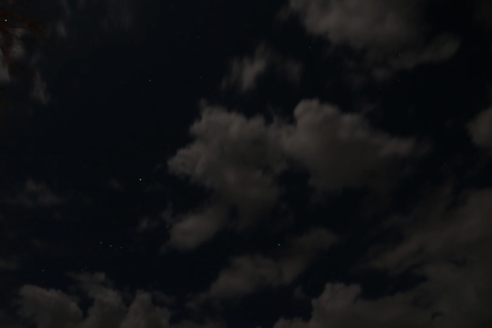 Phaedra profile banner