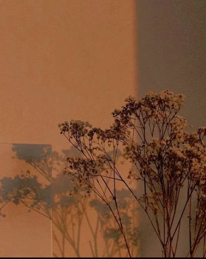 Nena leon profile banner