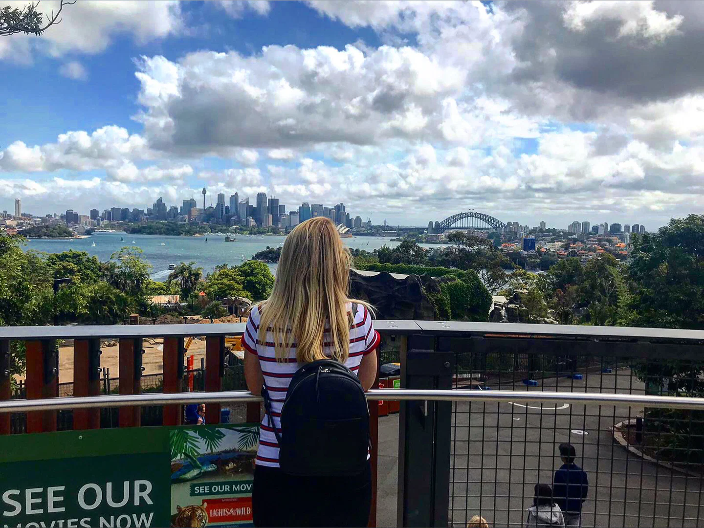 Shy Darling profile banner