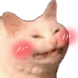 himbo puppo profile banner