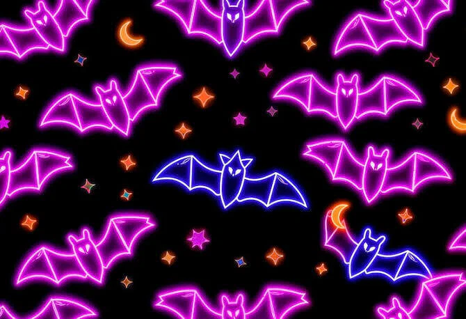Miss Midnight profile banner