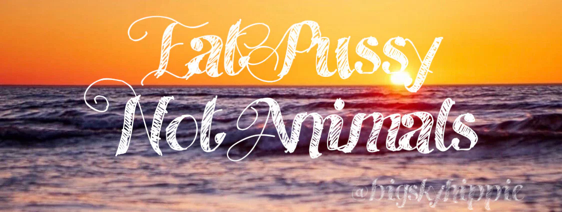 ☯️ ʏʞꙄ 🦋 𝔽ℝ𝔼𝔼 🦋 𝕋𝕠𝕡 𝟛𝟝% ☯️ profile banner