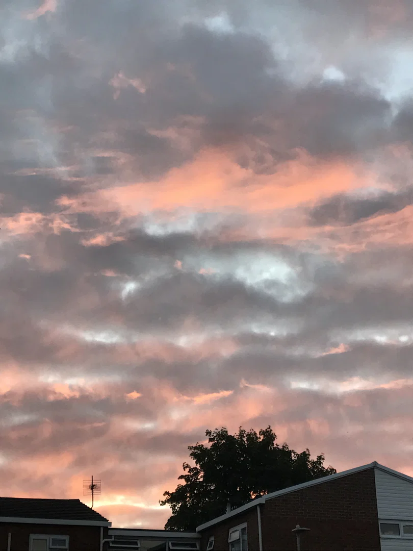 Peachygurl69 profile banner