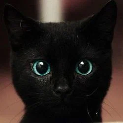 happybrainz's avatar