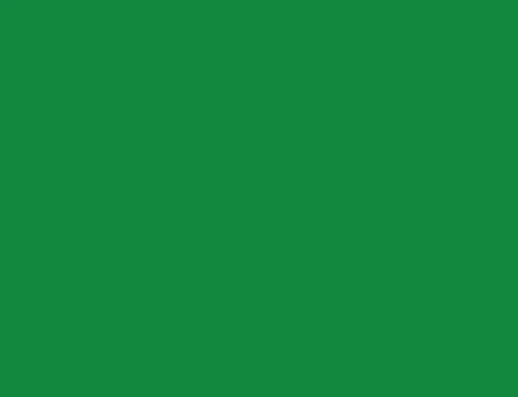 나초희(nachohee)