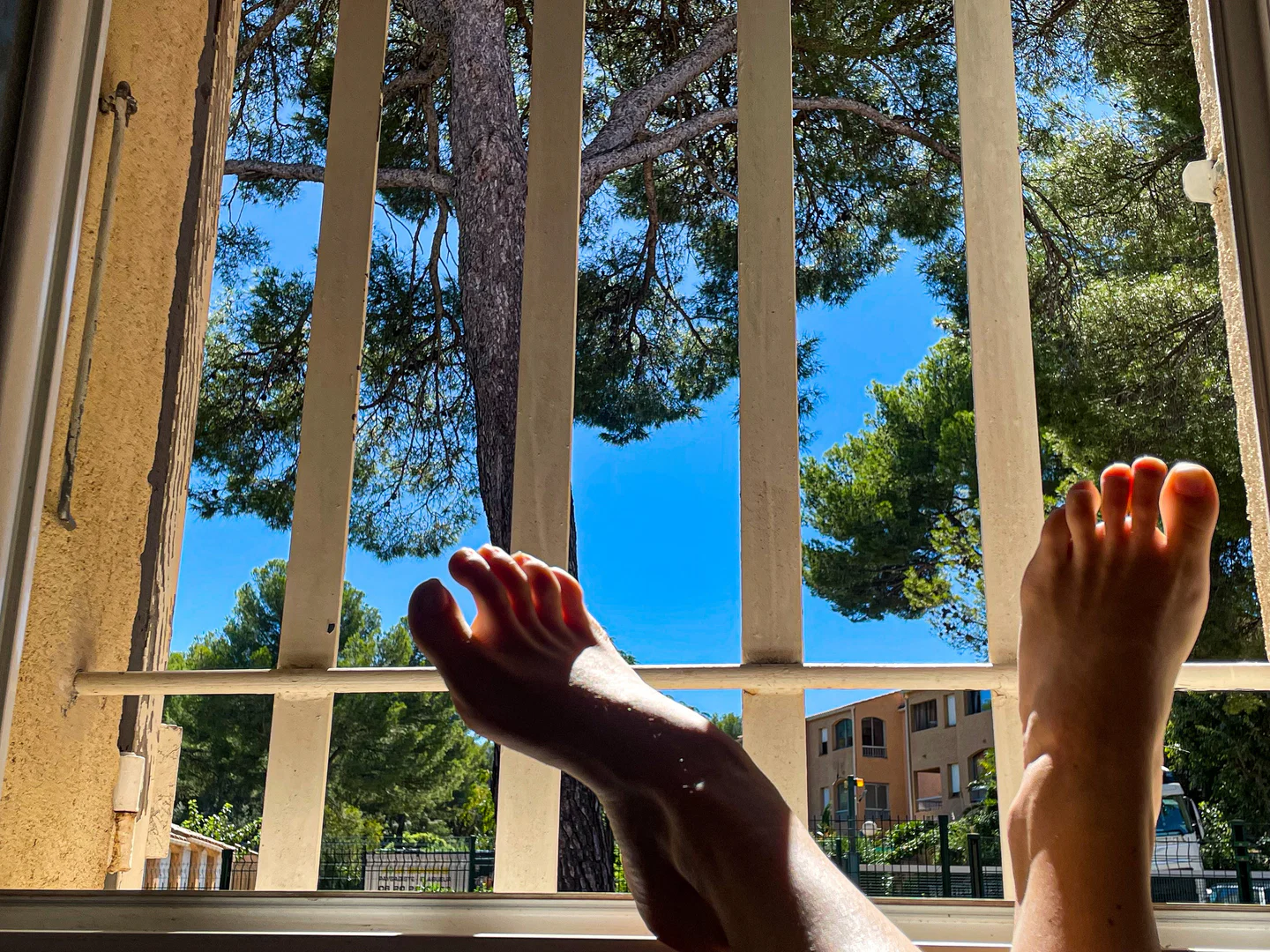 So french feet profile banner