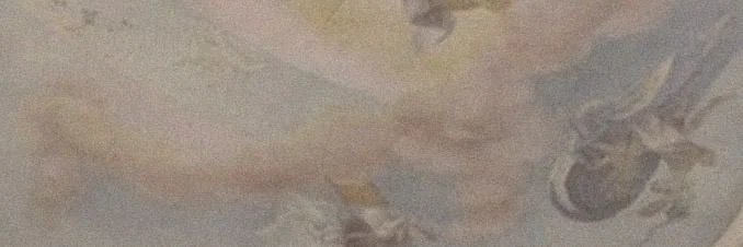 princess profile banner