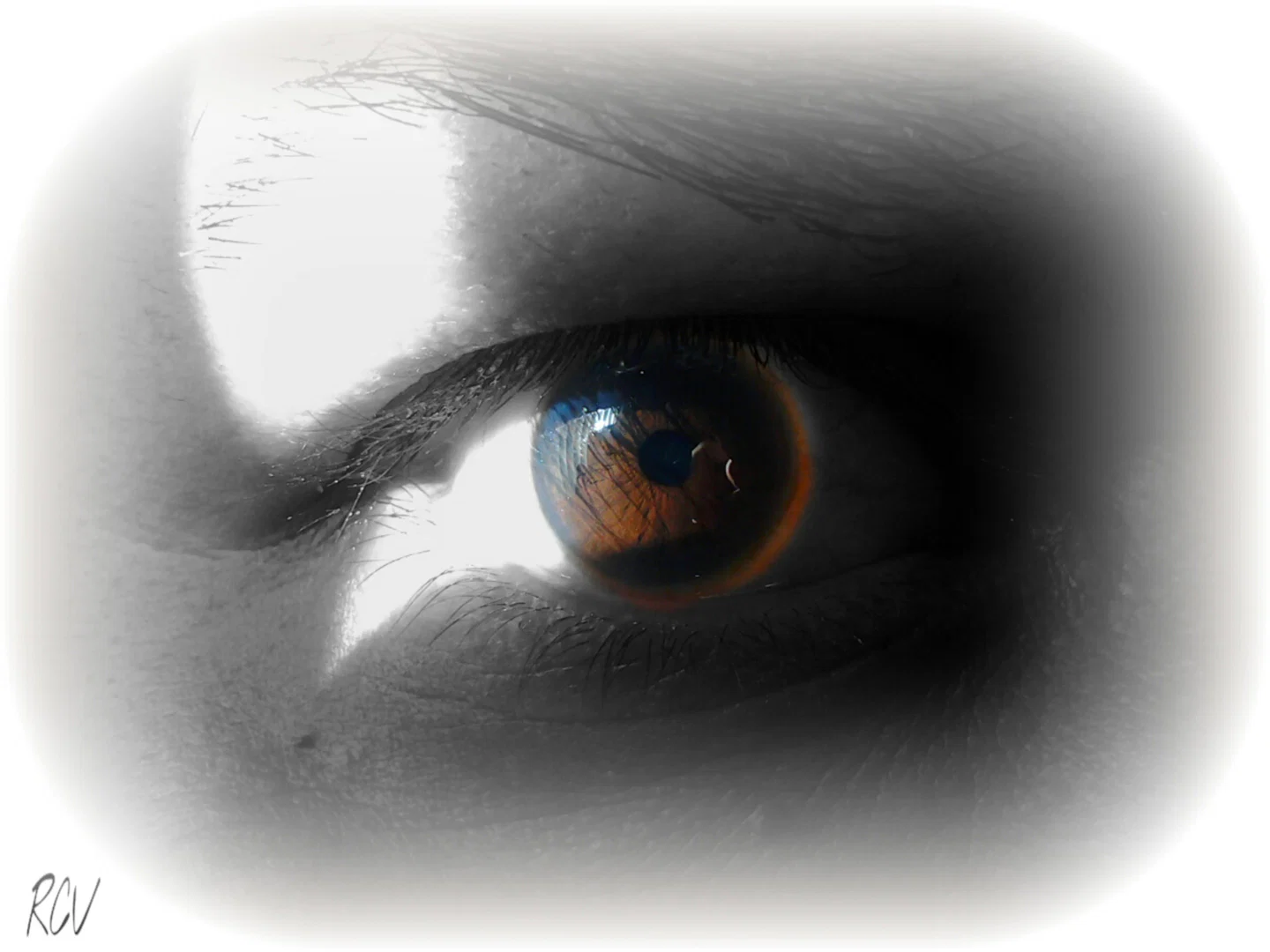 R C-V's Art Page profile banner