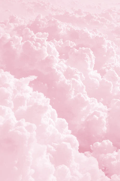 Scarlett Justine profile banner